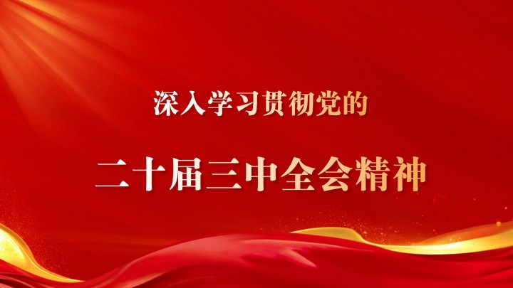 恒亚党支部学习贯彻党的二十届三中全会精神！